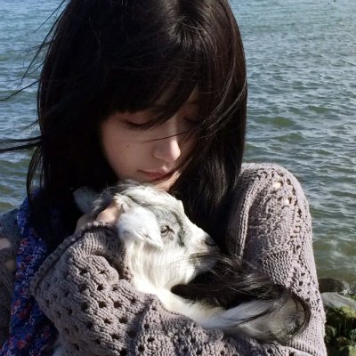 娃娃谷 海报